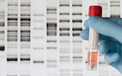 DNA Testing and the Importance of Your Will in Estate Planning