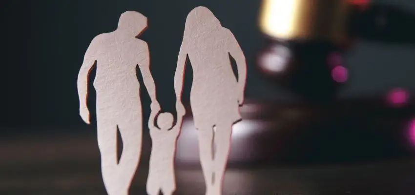 Stephanie Krane-Boehmer: Experienced, Professional, Friendly Family Attorney in Rochester Hills, Michigan-image