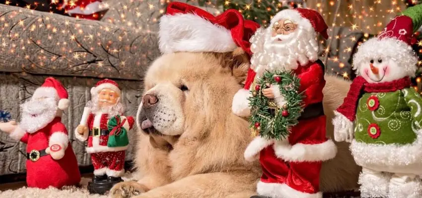 Holidays, Family Time and Parenting Agreements